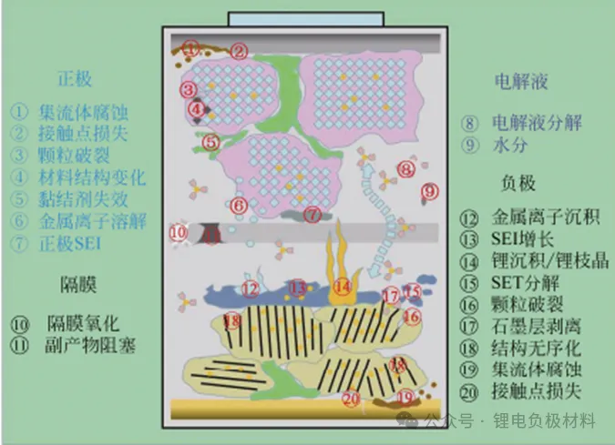 2. Anode Interface and Structural Degradation