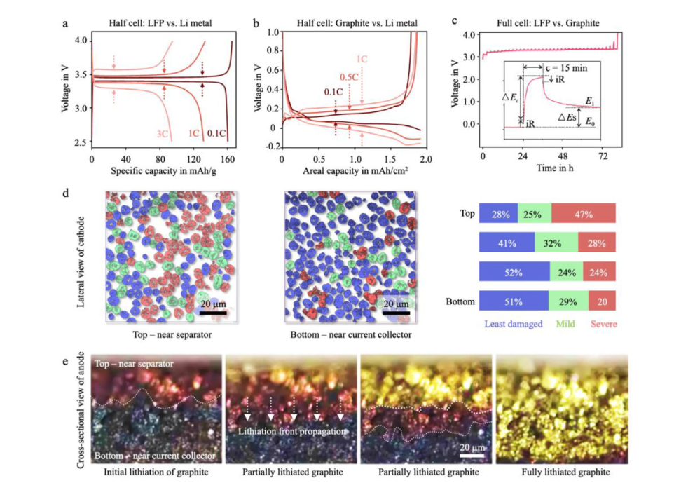 Figure 3. Polarization and reaction heterogeneity under fast charging.