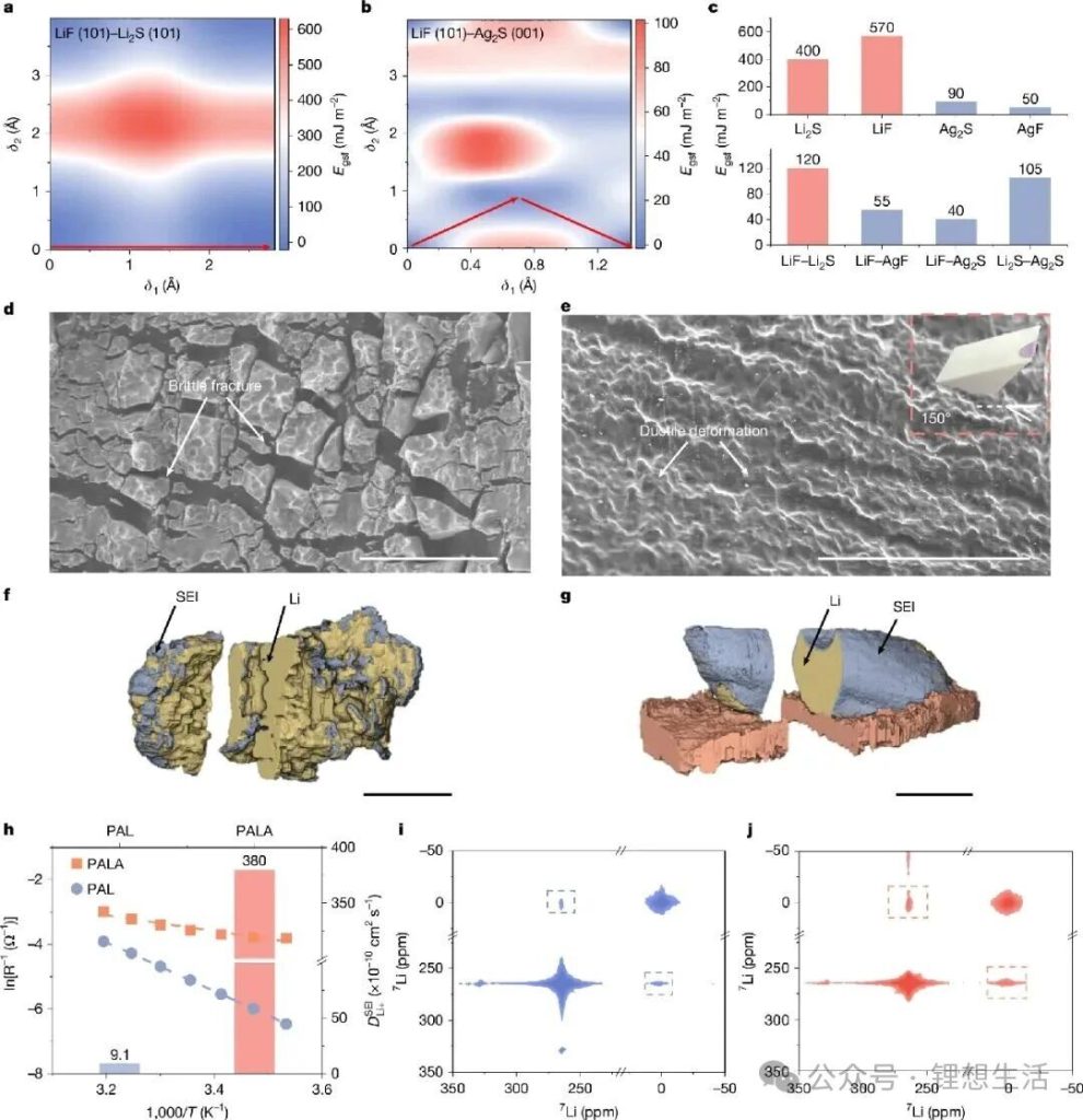 Plasticity rich in inorganic SEI exhibits excellent plastic deformation capacity and mechanical stability