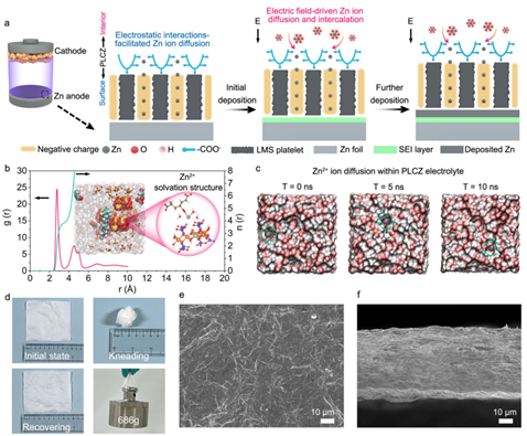 A multifunctional quasi-solid-state polymer electrolyte with highly selective ion highways for practical zinc ion batteries