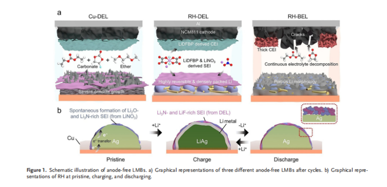 1270 Wh/L! How Anode-Free Battery Technology Doubles EV Range - NEWARE ...