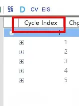Cycle Index