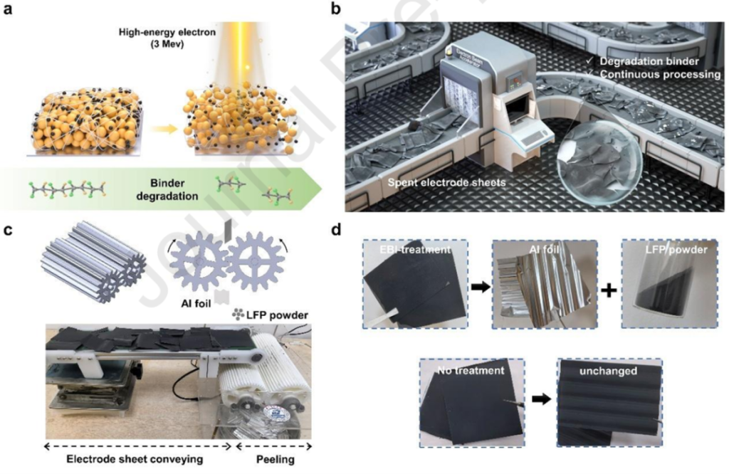 Electron beam irradiation for spent LiFePO4 recycling
