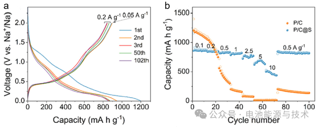 Figure 10. (a) Charge-discharge curves and (b) rate performance of the P/C@S anode material.