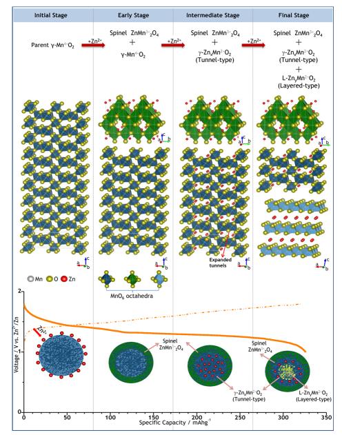 Figure 2. Schematic illustration of the reaction pathways for Zn insertion in the as-prepared γ-MnO2 cathode.