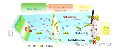 Figure 2. Shuttle effect in lithium-sulfur batteries (Image source: Internet)