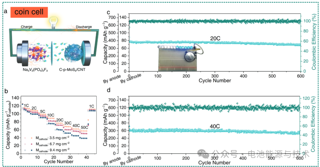 Figure 8. Electrochemical performance of the Na₃V₂(PO₄)₂F₃ // C-p-MoS₂/CNT sodium-ion full coin cell.