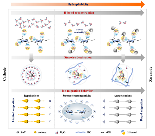 Hydrophobicity Gradient in Ultrathin Cellulose Separators for Durable Seawater-Based Zinc Batteries