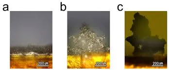 Images of lithium dendrites taken by a microscope