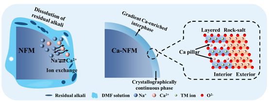 Tailored Interphase Chemistry Enables Ultra-Stable O3-Type Sodium Layered Oxide Cathodes