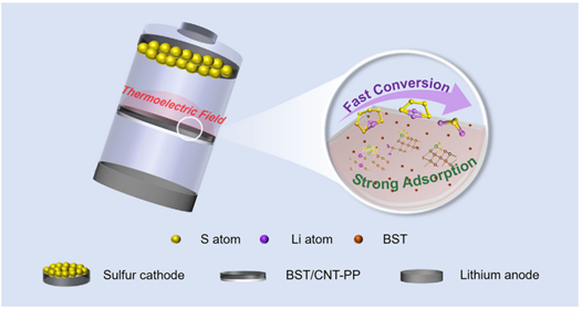 Thermoelectric Field Enhanced Sulfur Evolution Kinetics for High Performance Lithium‐Sulfur Batteries
