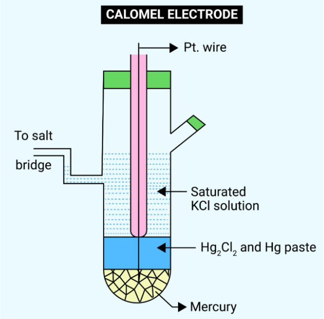 Two of the 5 most common reference electrodes in electrochemistry: Saturated calomel electrode (SCE)