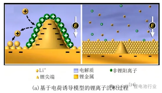 (a) Lithium-ion deposition process based on the charge induction model